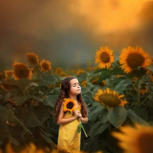 Photo #12400086