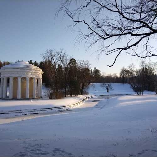 Photo #12400366