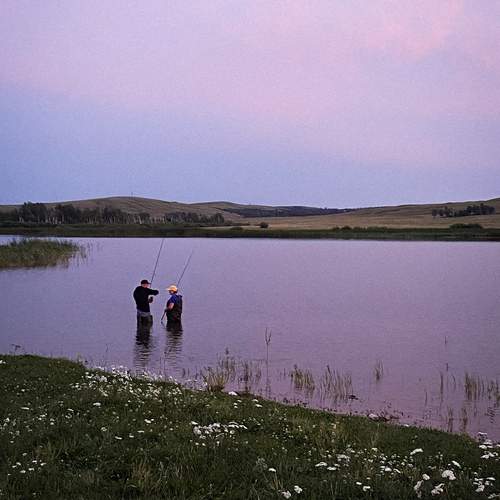 Photo #12400438