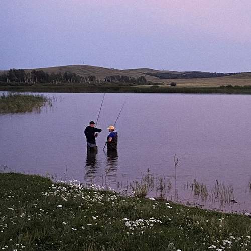 Photo #12400446