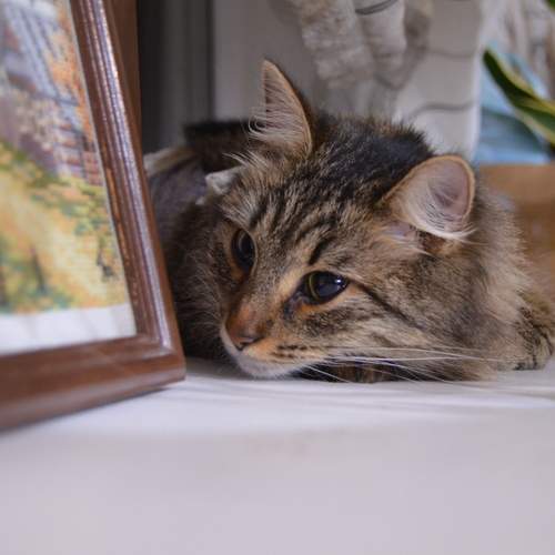 Photo #12400455