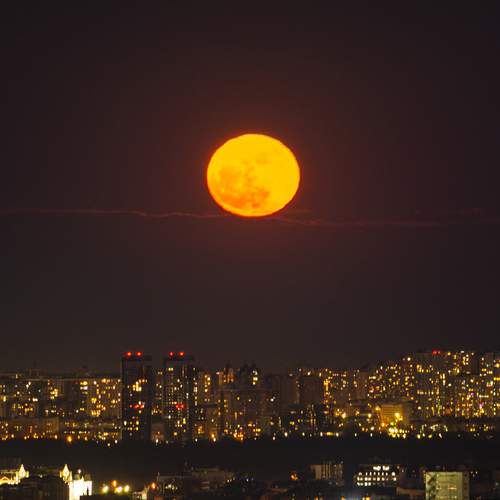 Photo #12400767