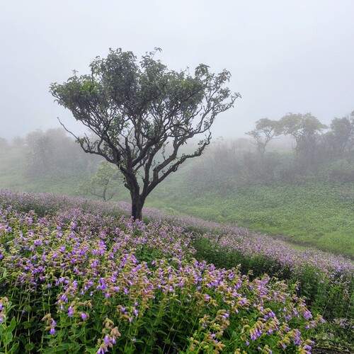 Photo #12400773