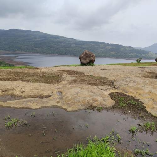 Photo #12400774