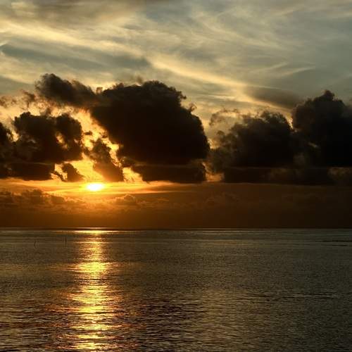 Photo #12401140