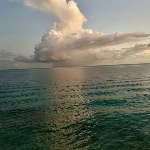 Photo #12401150