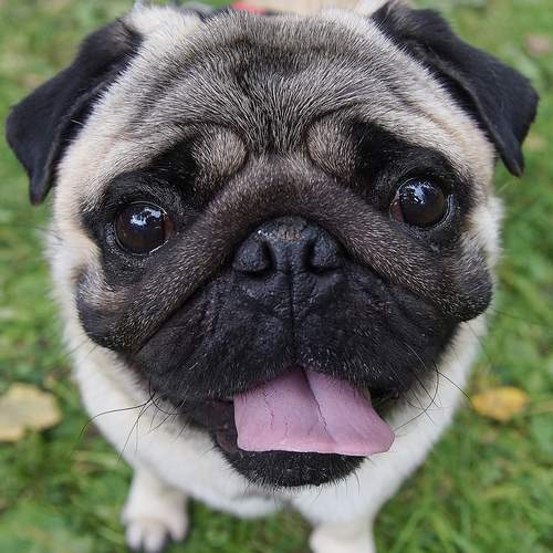 Photo #12401171