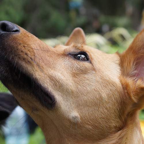 Photo #12401179