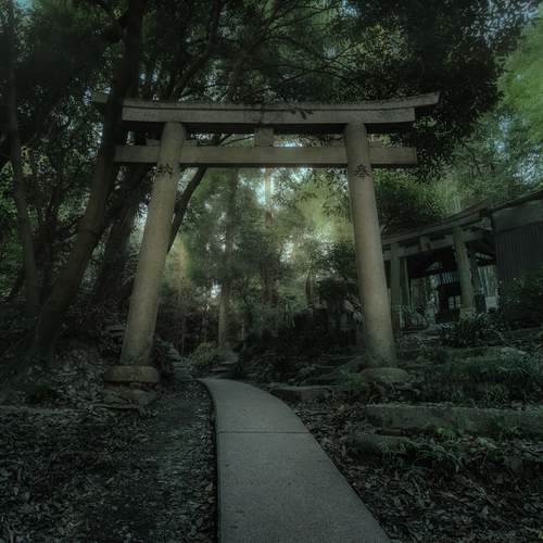 Photo #12401383