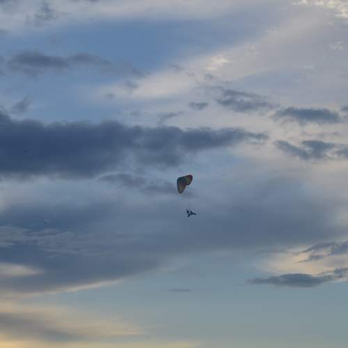 Photo #12401435