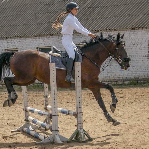 Фотография #12401791