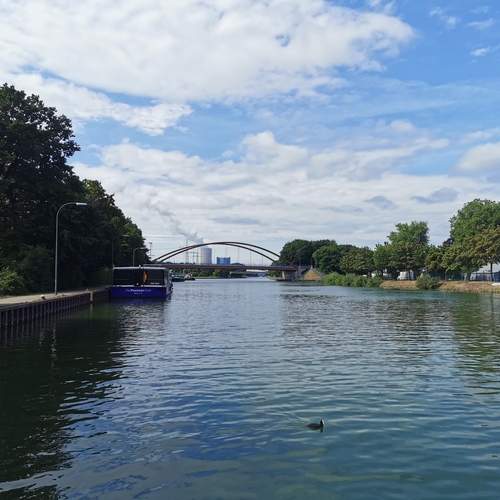 Photo #12401804