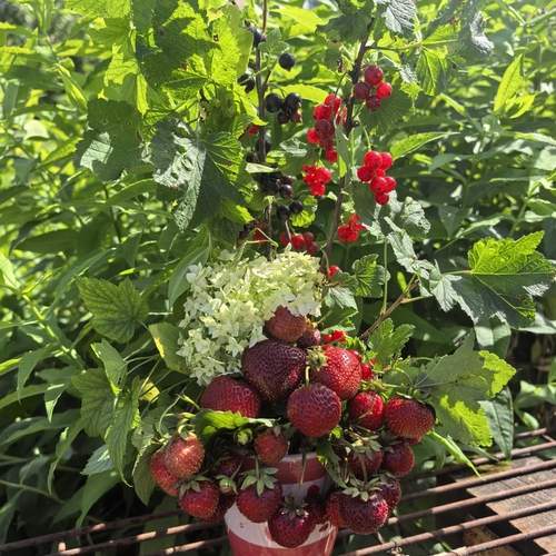 Photo #12402157
