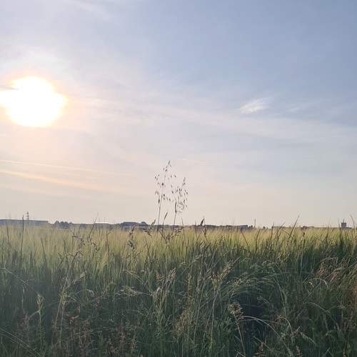 Photo #12402247