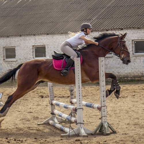 Фотография #12402522