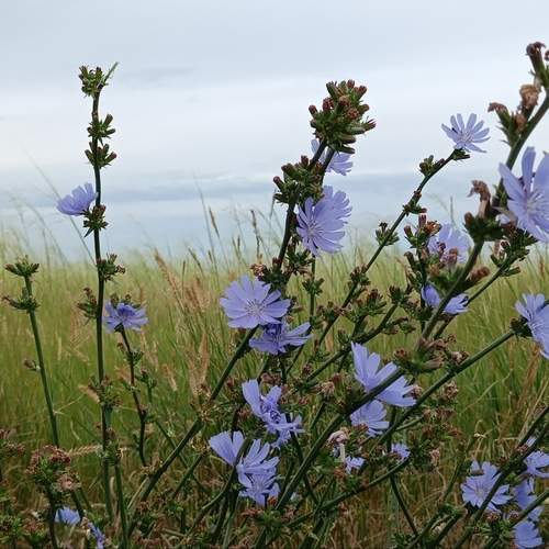 Photo #12402565