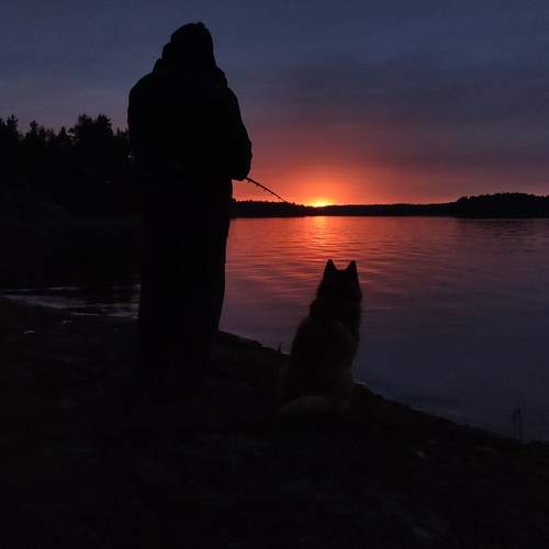 Photo #12402627