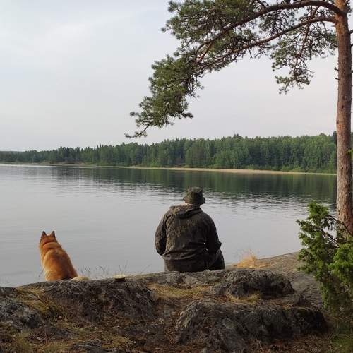 Photo #12402628