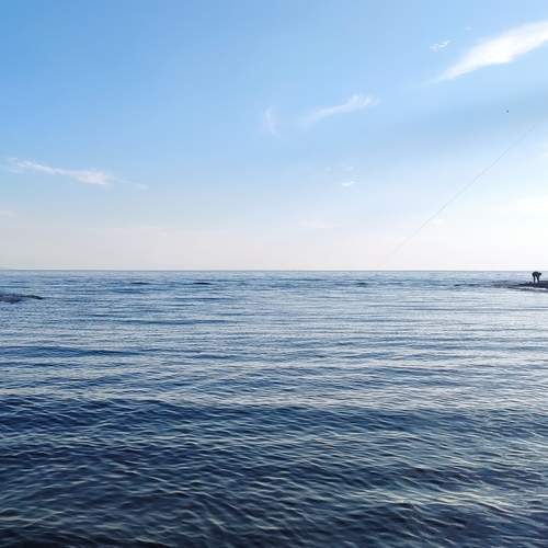 Photo #12402629