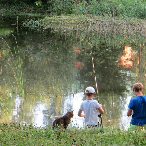 Photo #12402682