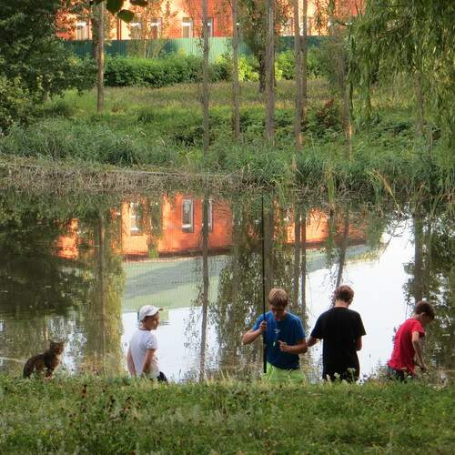 Photo #12402684