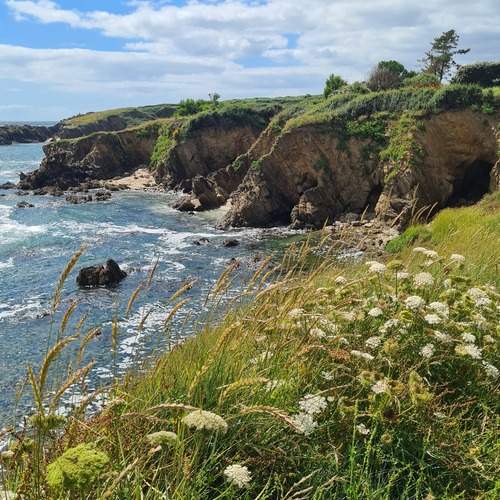 Photo #12402796