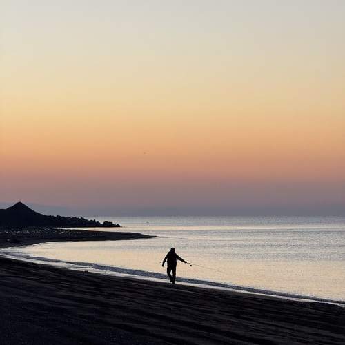 Photo #12403101