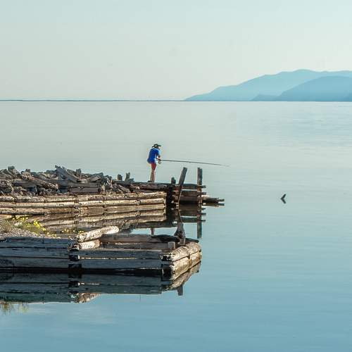 Photo #12403241