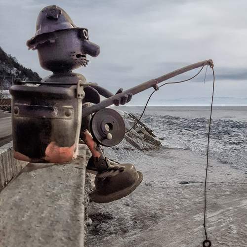 Photo #12403245