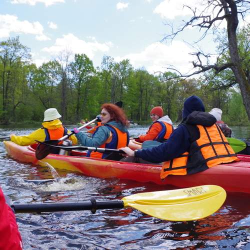 Photo #12403491