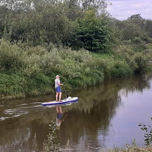 Photo #12403510