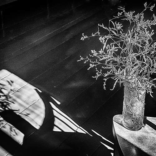 Photo #12403514