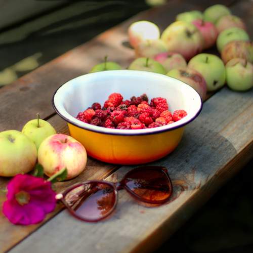 Photo #12403526