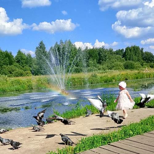 Photo #12403681