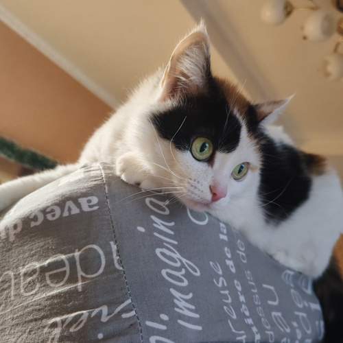 Photo #12404229
