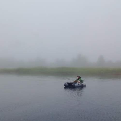 Photo #12404509