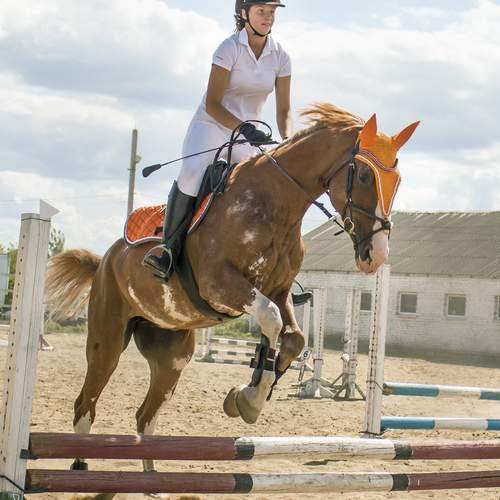 Фотография #12404557