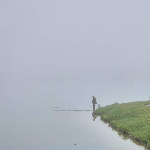 Photo #12404601