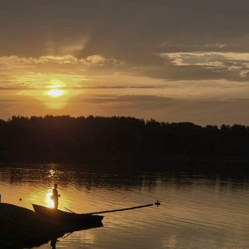 Photo #12404640