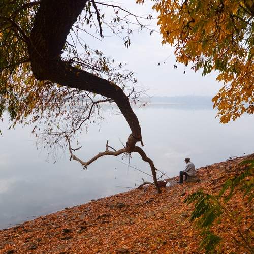 Photo #12404939