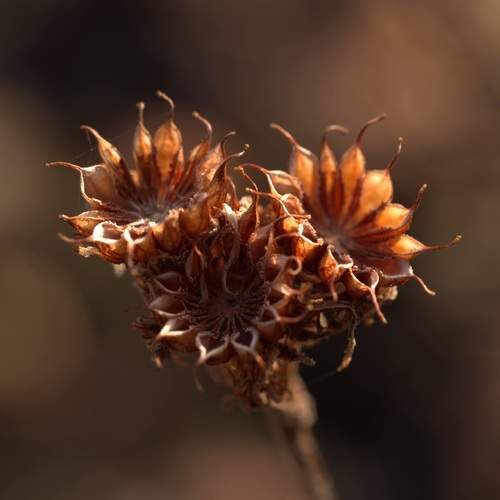 Photo #12405137