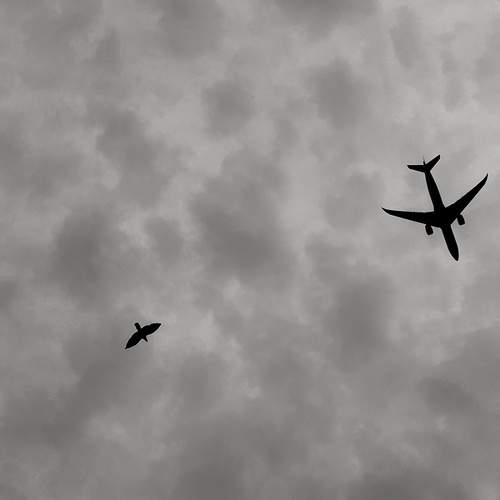 Photo #12405647