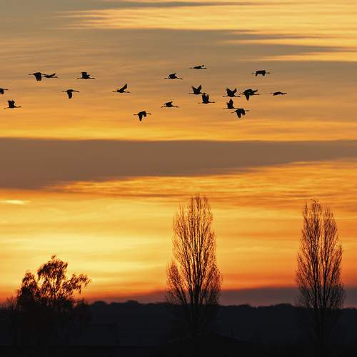 Photo #12405784