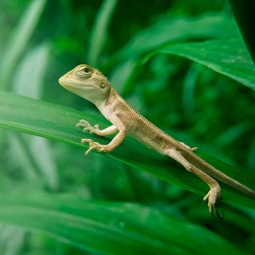 Photo #12405868