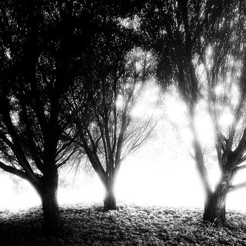 Photo #12406235