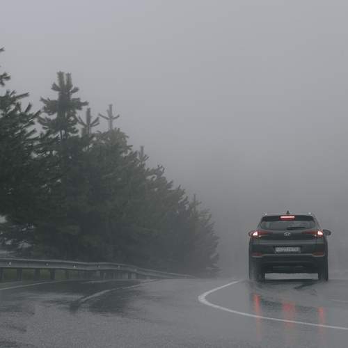 Photo #12406271
