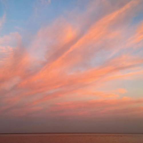 Photo #12406467