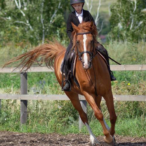 Photo #12406647