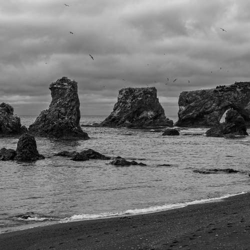Photo #12407097