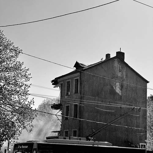 Photo #12407739